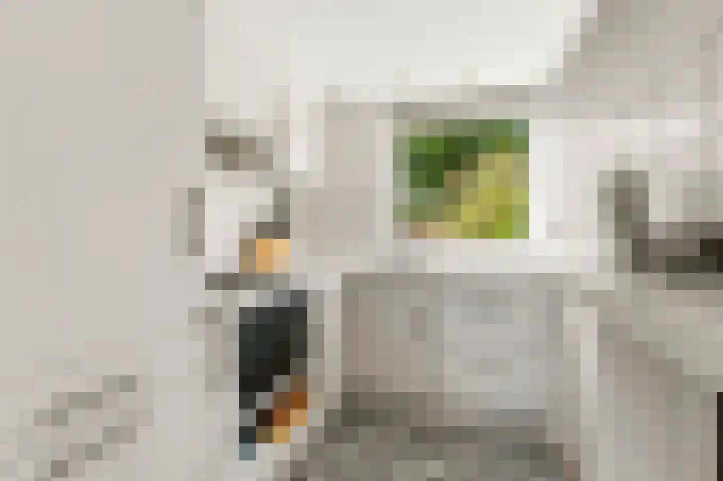 Kerkstraat 22 b Dieren thumbnail 12