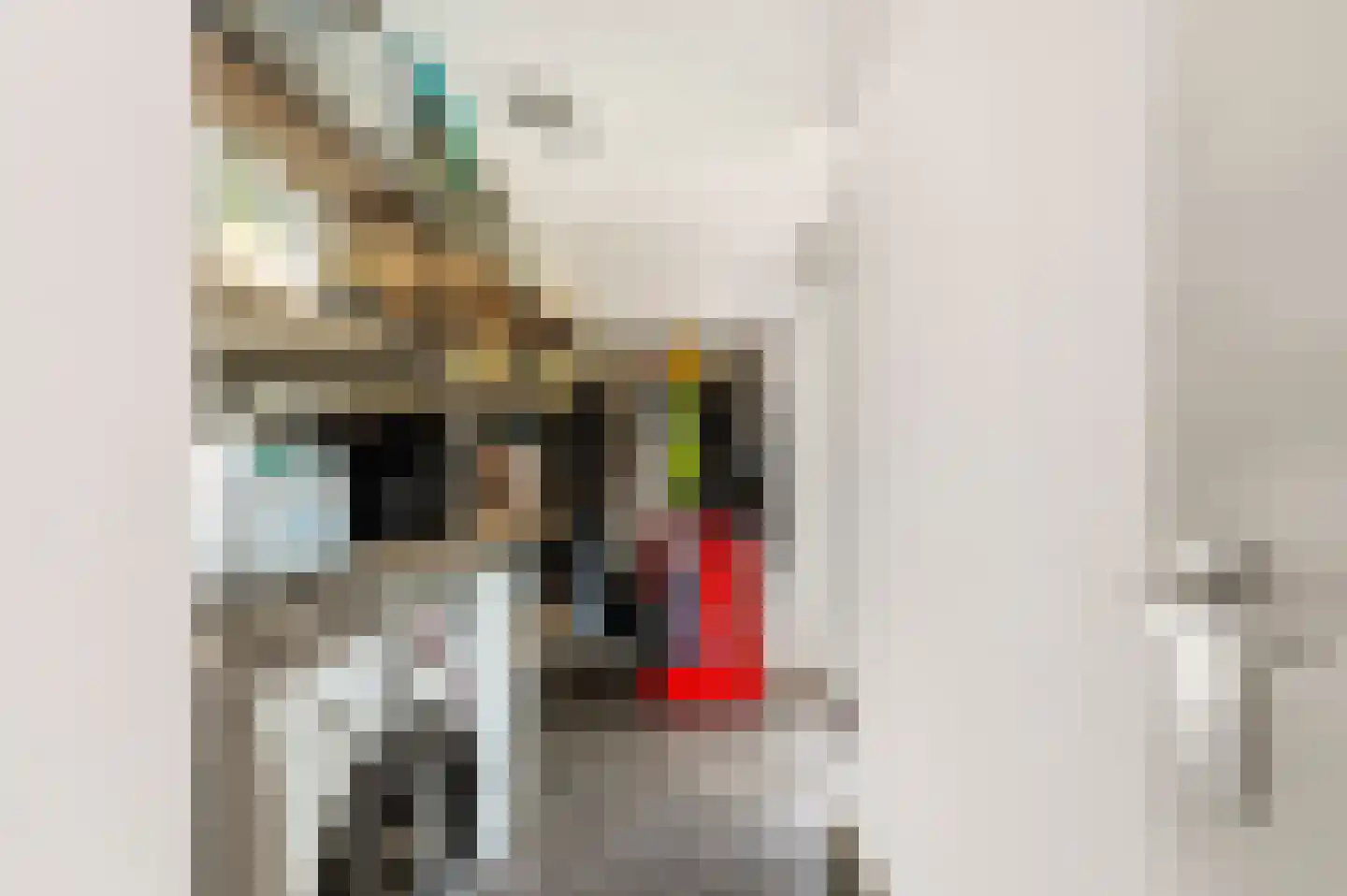 Kerkstraat 22 b Dieren thumbnail 18