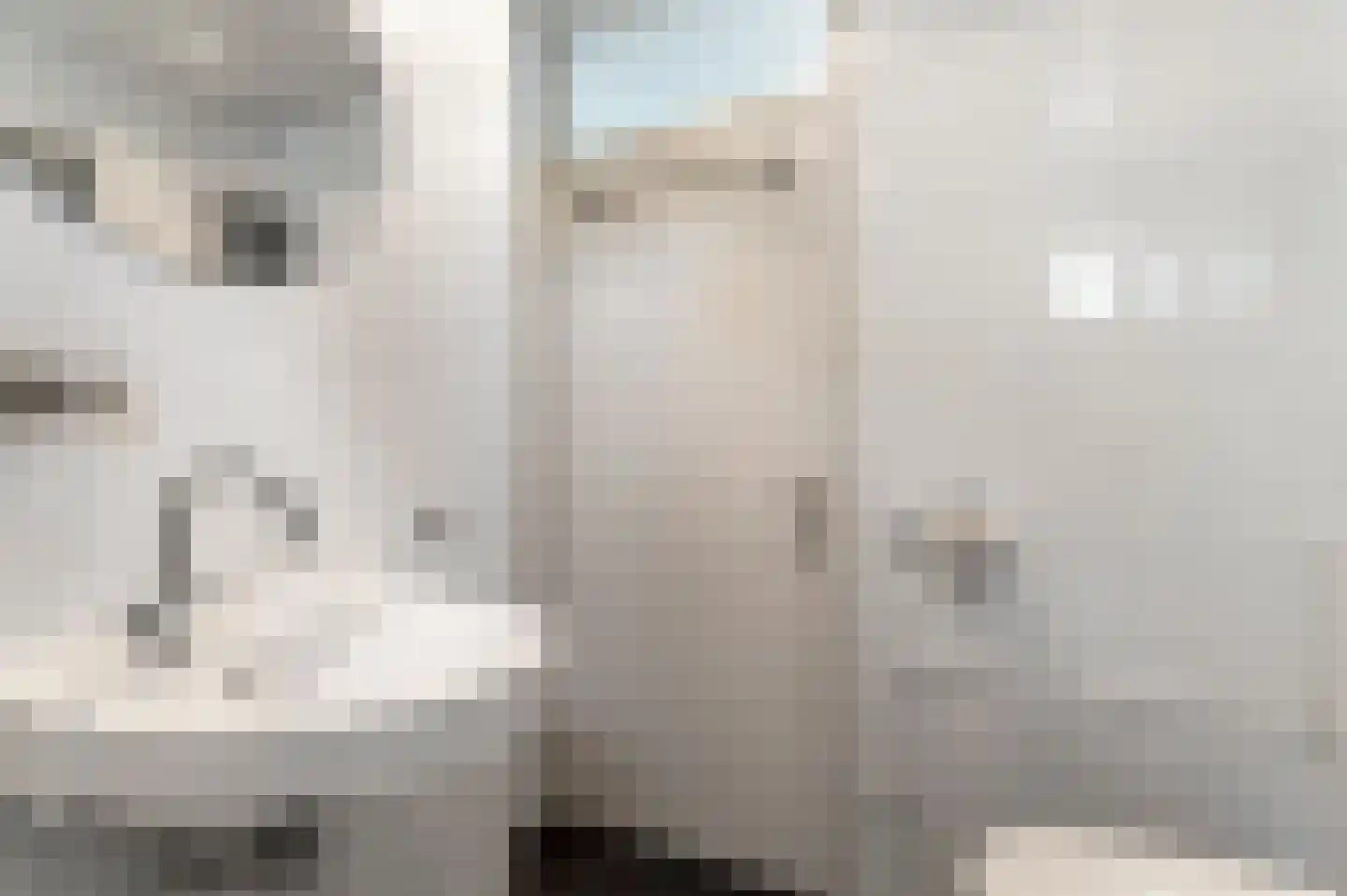 Kerkstraat 22 b Dieren thumbnail 30