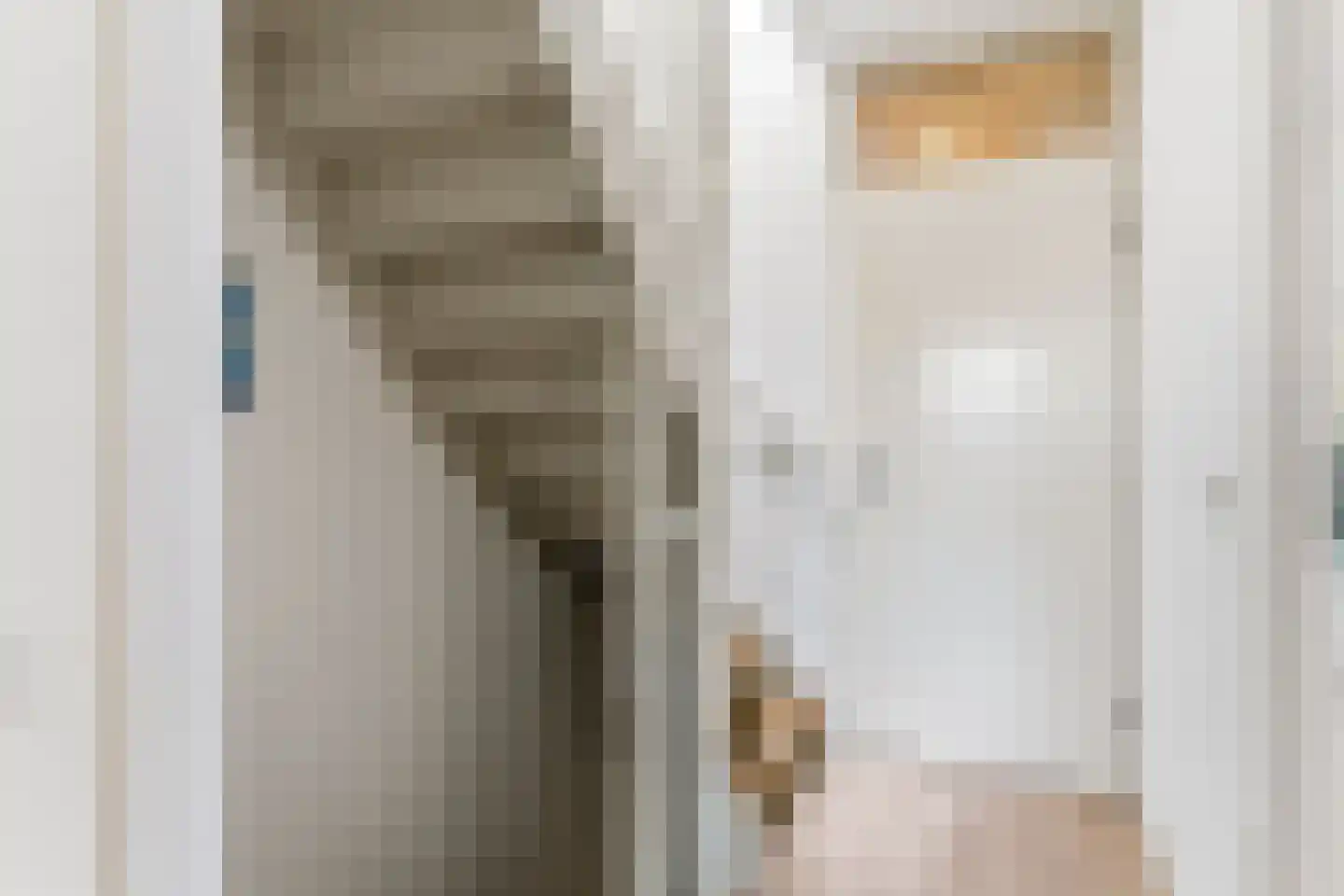 Kerkstraat 22 b Dieren thumbnail 31