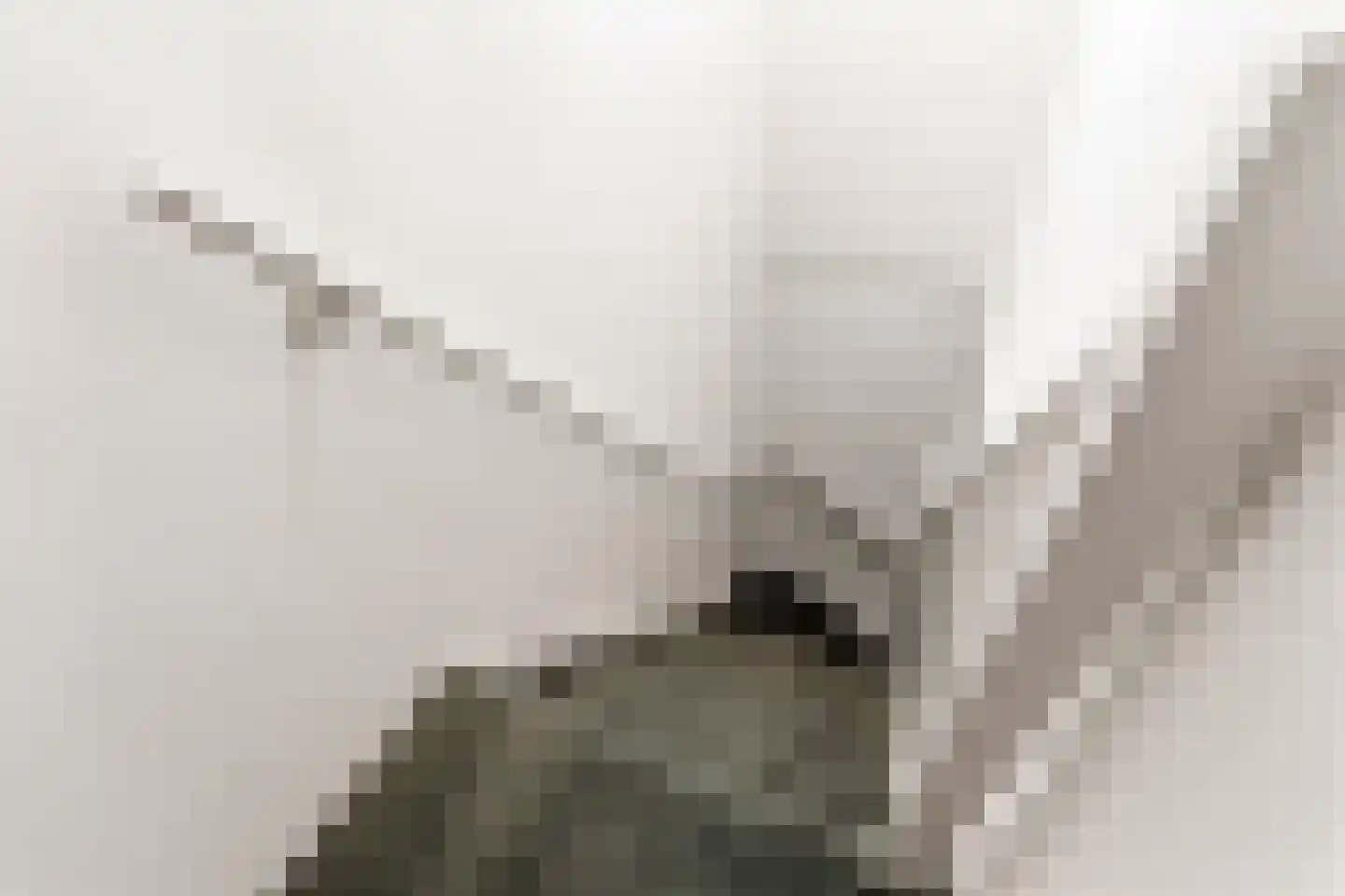 Kerkstraat 22 b Dieren thumbnail 32