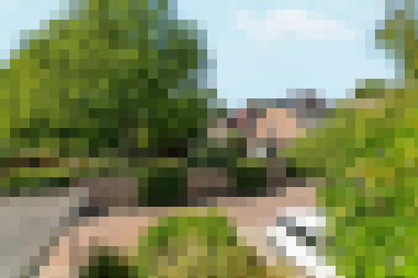Kerkstraat 22 b Dieren thumbnail 36