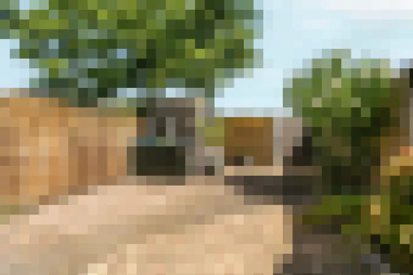 Kerkstraat 22 b Dieren thumbnail 40
