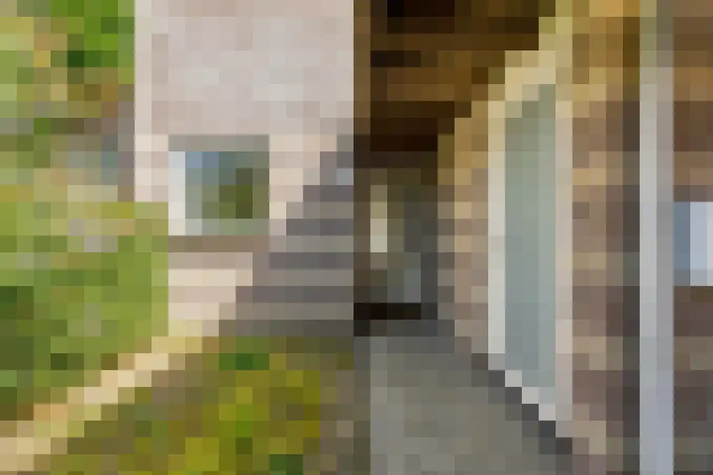 Kerkstraat 22 b Dieren thumbnail 42