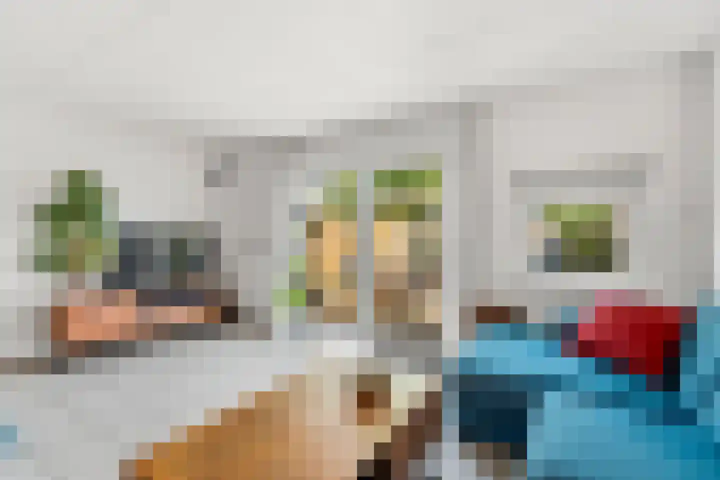 Kerkstraat 22 b Dieren thumbnail 7