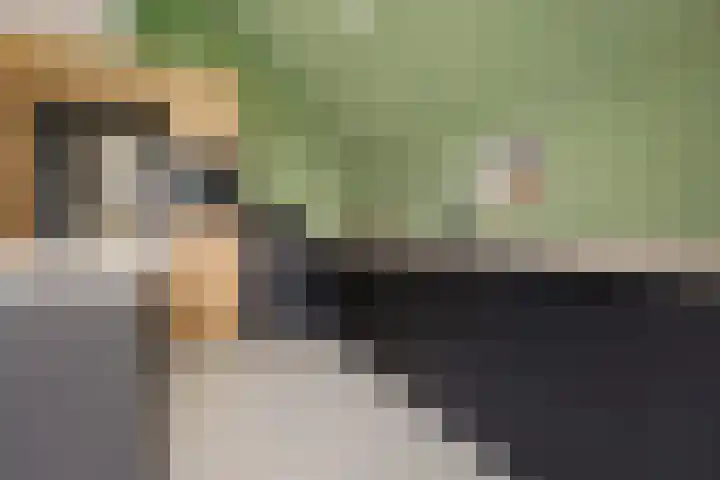 Kerkstraat 22 Gasselte thumbnail 19