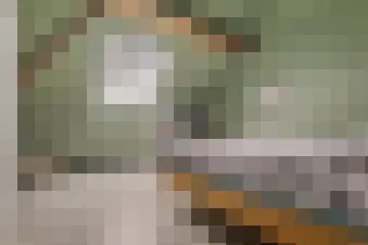 Kerkstraat 22 Gasselte thumbnail 24