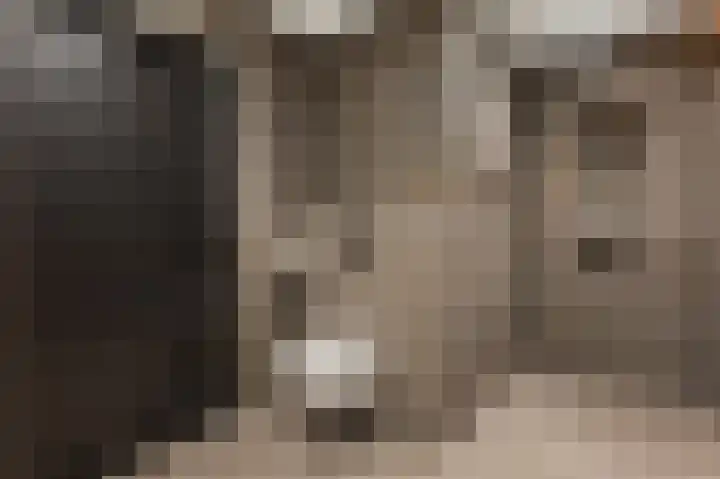 Kerkstraat 22 Gasselte thumbnail 29