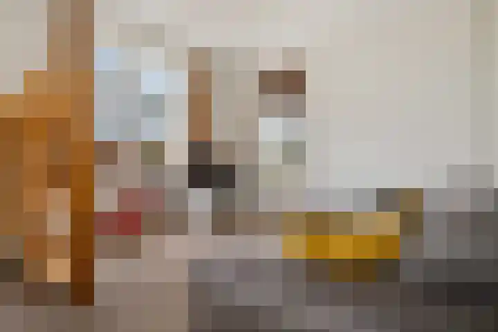 Kerkstraat 22 Gasselte thumbnail 31