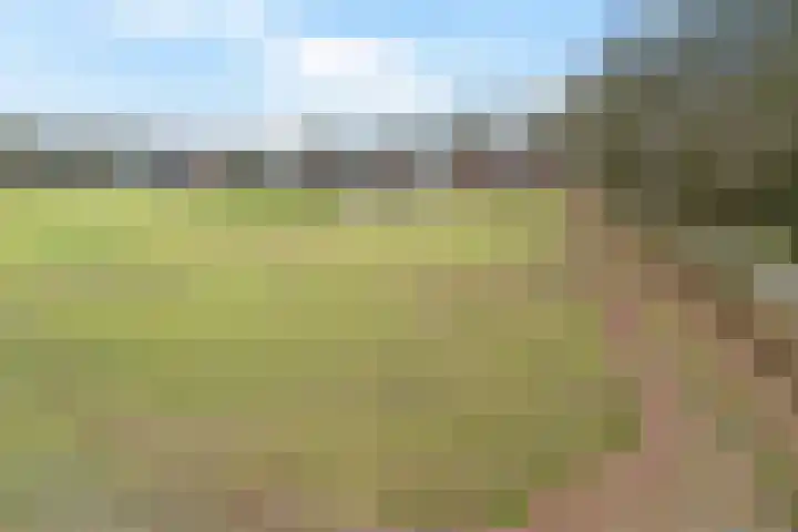 Kerkstraat 22 Gasselte thumbnail 4