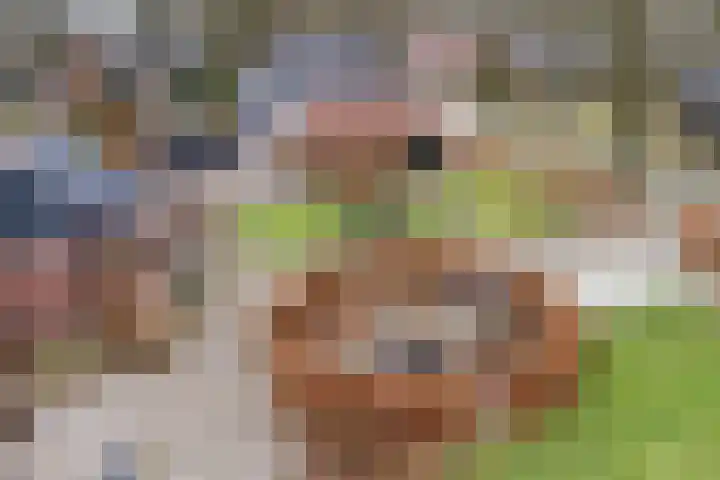Kerkstraat 22 Gasselte thumbnail 5