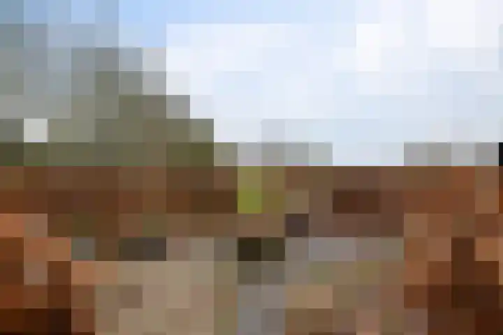 Kerkstraat 22 Gasselte thumbnail 55