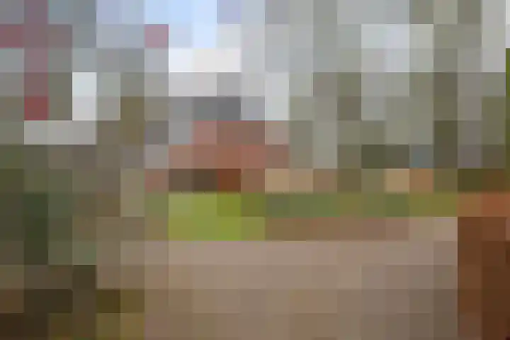 Kerkstraat 22 Gasselte thumbnail 56