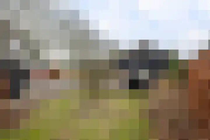 Kerkstraat 22 Gasselte thumbnail 58