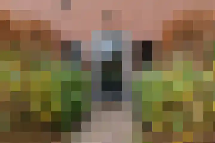 Kerkstraat 22 Gasselte thumbnail 60