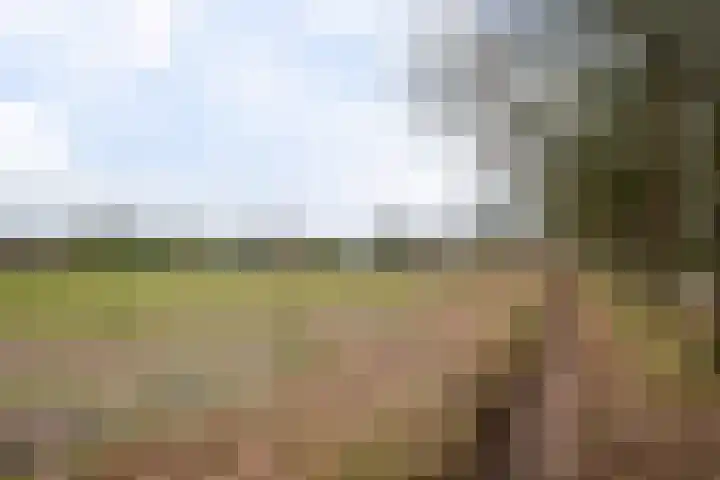 Kerkstraat 22 Gasselte thumbnail 9