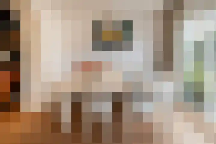 Kerkstraat 22 Harderwijk thumbnail 15