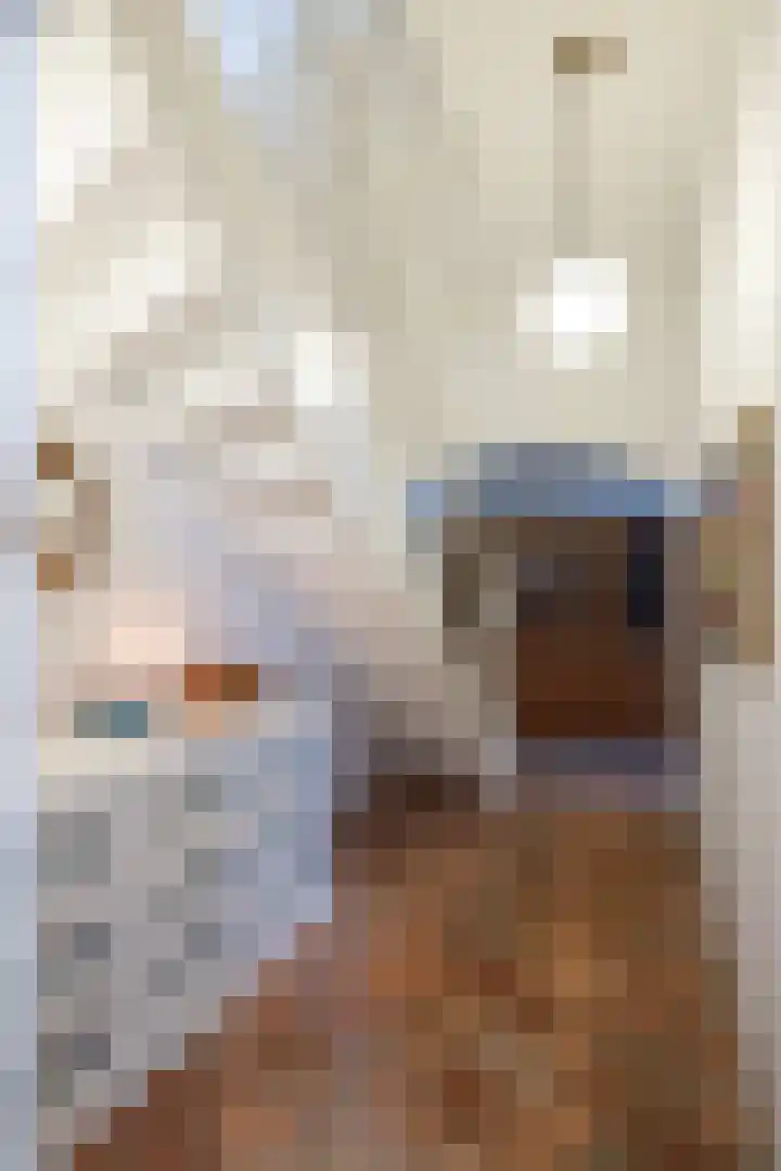 Kerkstraat 22 Harderwijk thumbnail 22