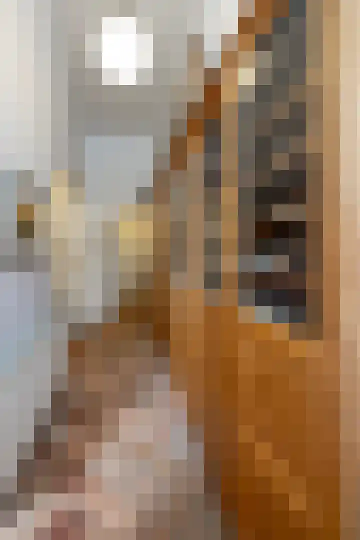 Kerkstraat 22 Harderwijk thumbnail 23