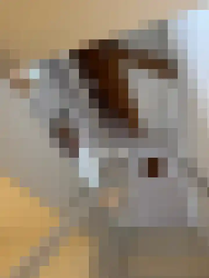 Kerkstraat 22 Harderwijk thumbnail 26