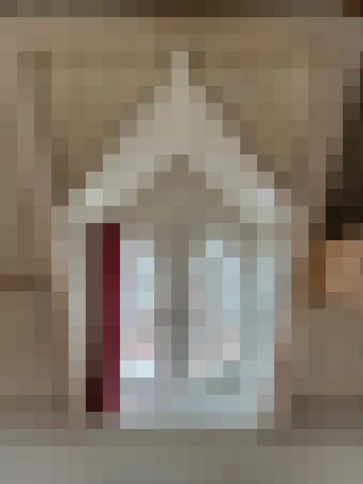 Kerkstraat 22 Harderwijk thumbnail 31