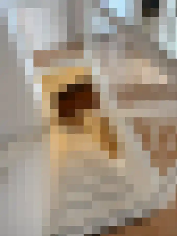 Kerkstraat 22 Harderwijk thumbnail 42