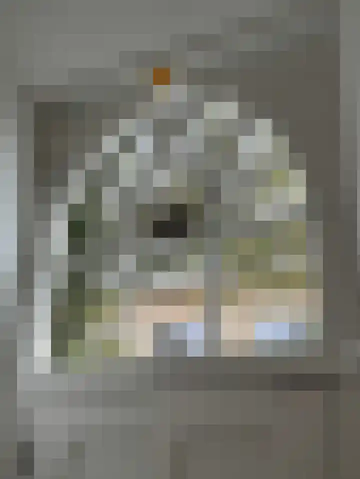 Kerkstraat 22 Harderwijk thumbnail 6