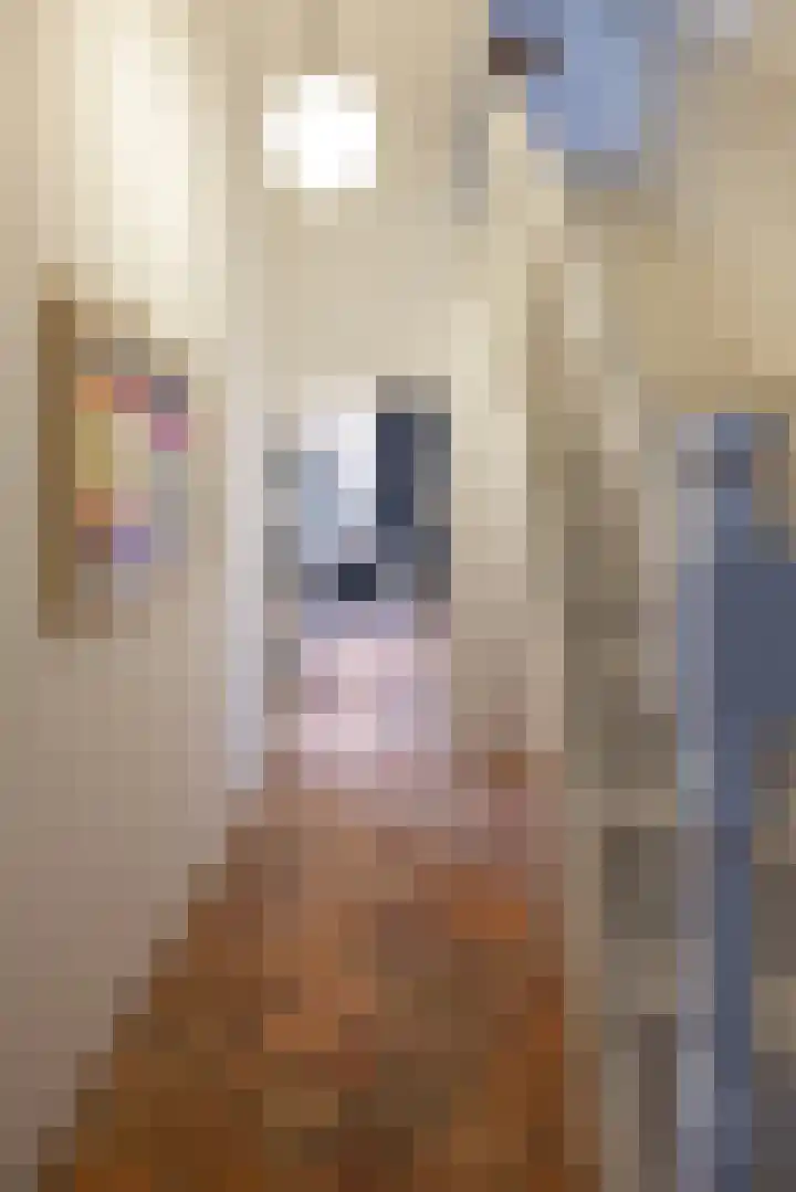 Kerkstraat 22 Harderwijk thumbnail 7