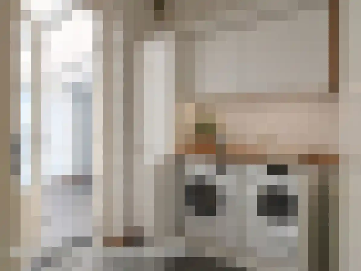 Kerkstraat 22 Kats thumbnail 21
