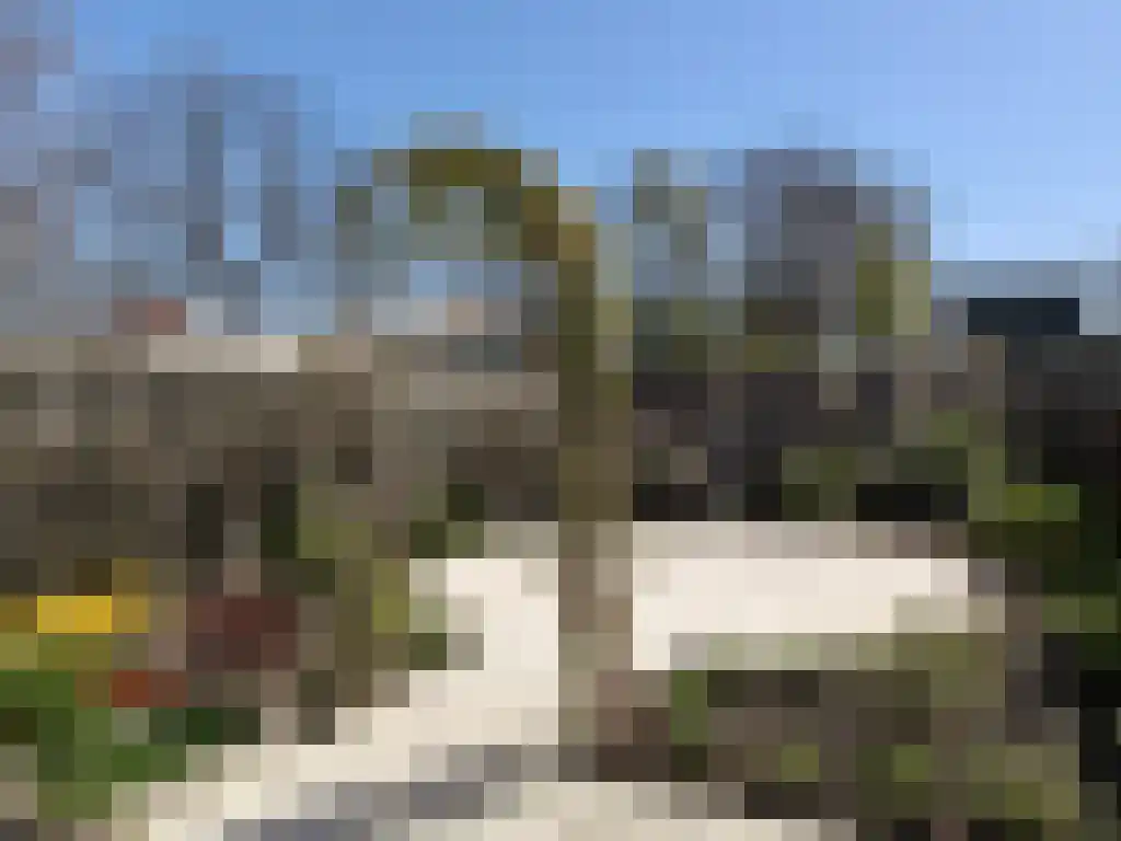 Kerkstraat 22 Kats thumbnail 25