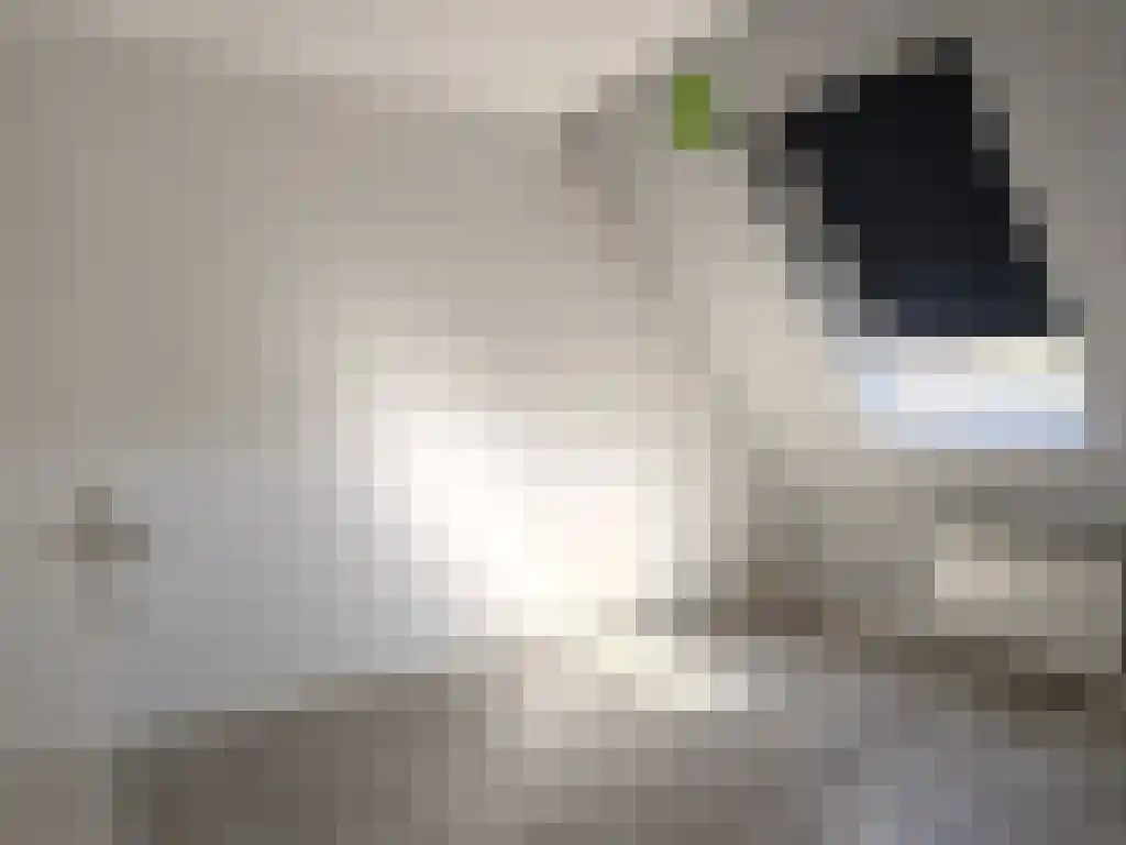 Kerkstraat 22 Kats thumbnail 35