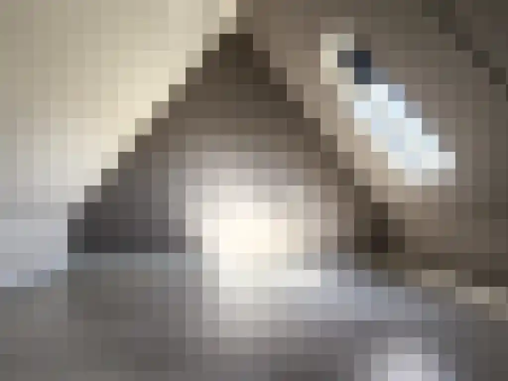 Kerkstraat 22 Kats thumbnail 43