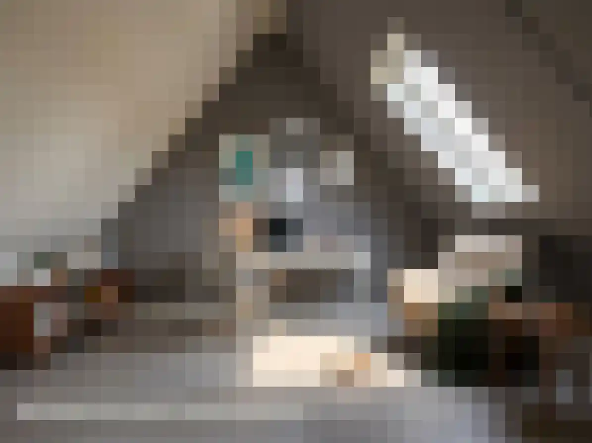 Kerkstraat 22 Kats thumbnail 44