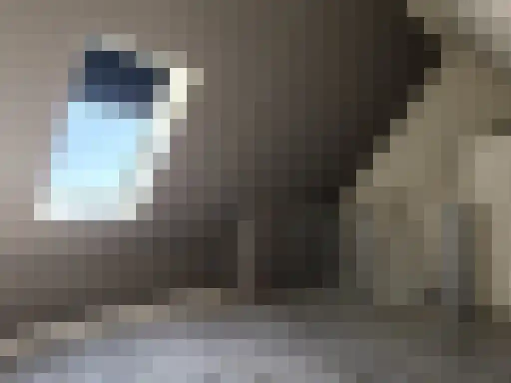 Kerkstraat 22 Kats thumbnail 45