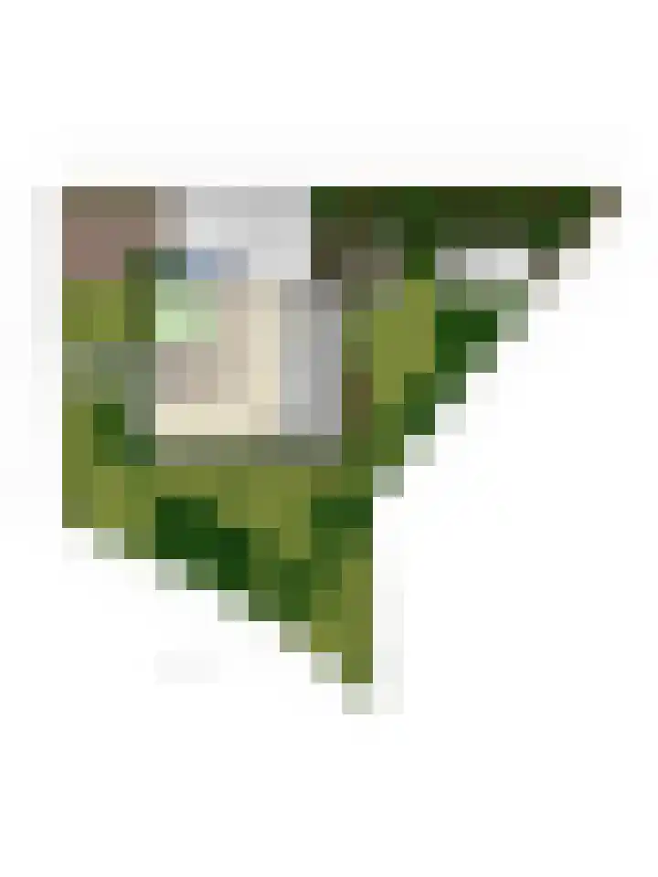 Kerkstraat 22 Maasbommel thumbnail 110