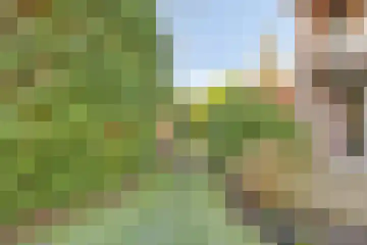 Kerkstraat 22 Maasbommel thumbnail 81