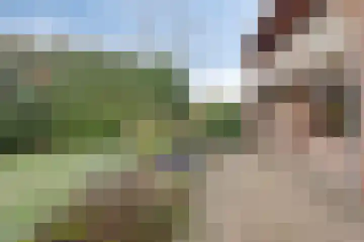 Kerkstraat 22 Maasbommel thumbnail 88