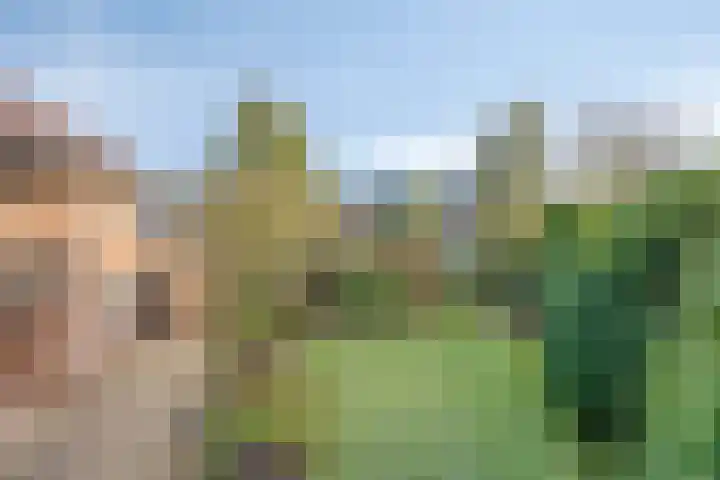 Kerkstraat 22 Maasbommel thumbnail 89