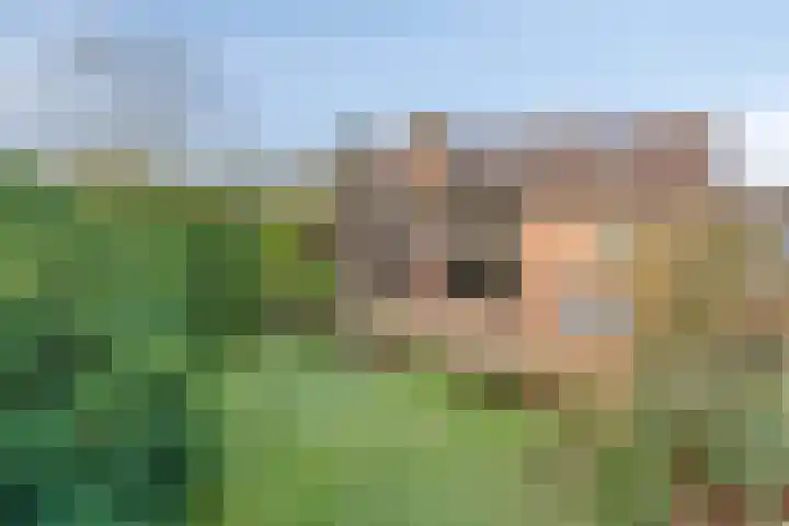 Kerkstraat 22 Maasbommel thumbnail 90