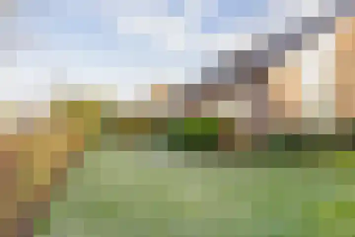 Kerkstraat 22 Maasbommel thumbnail 93