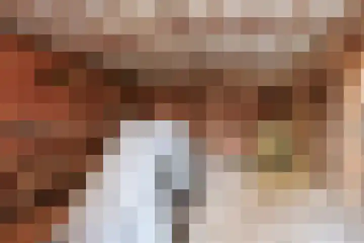 Kerkstraat 22 Maasbommel thumbnail 99