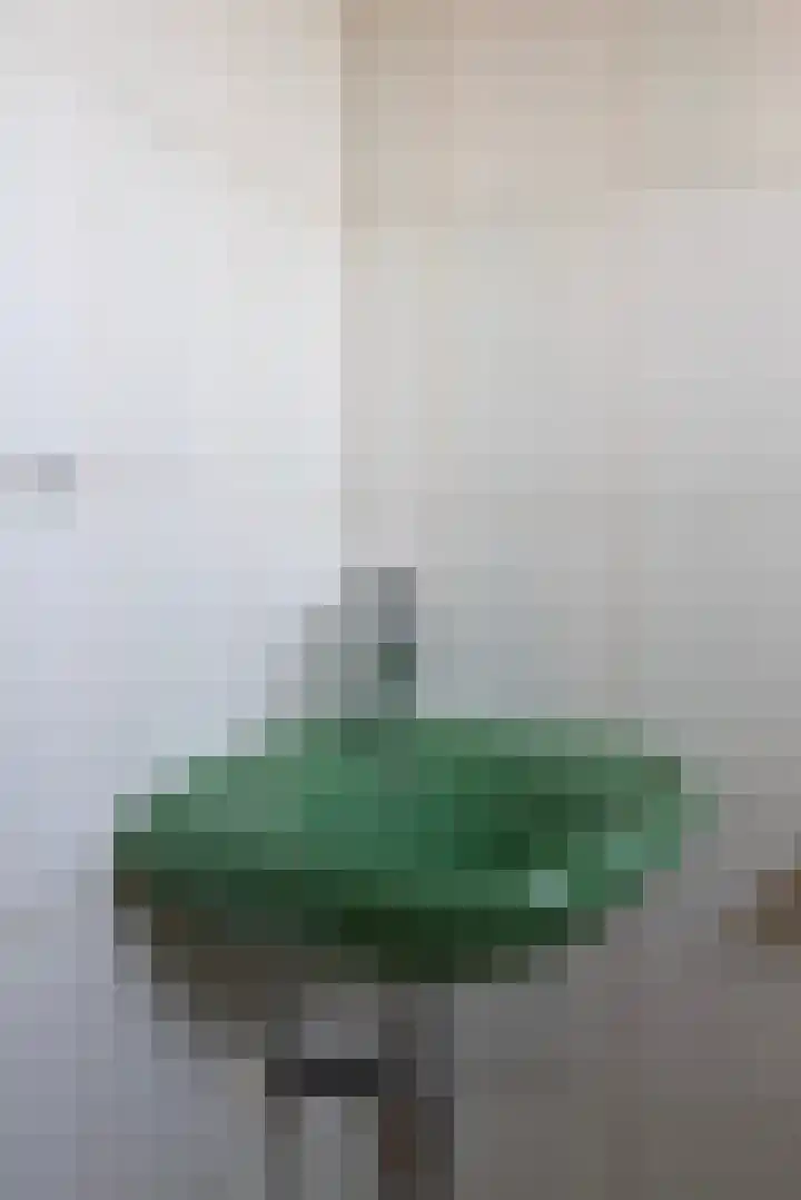 Kerkstraat 22 Mook thumbnail 14