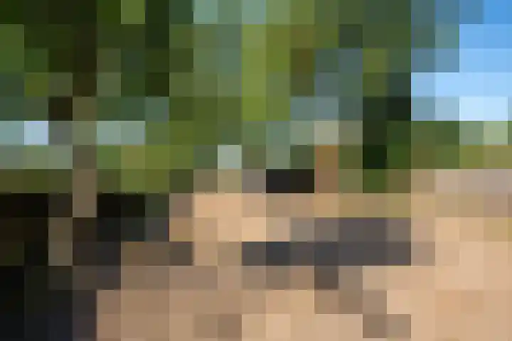 Kerkstraat 22 Mook thumbnail 20