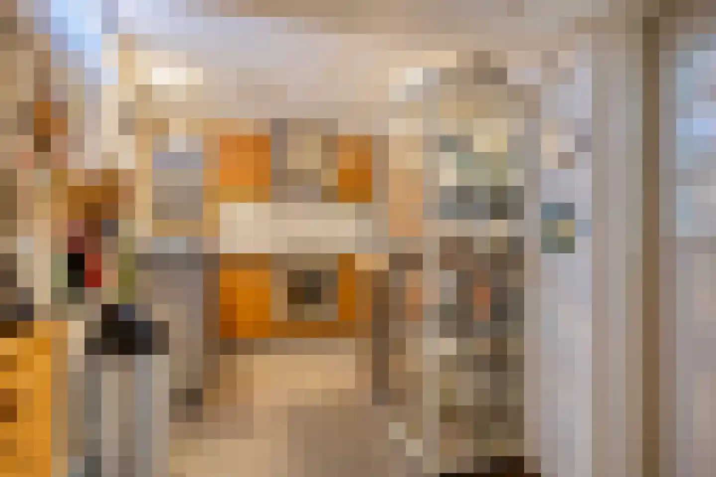 Kerkstraat 22 Wouwse Plantage thumbnail 11
