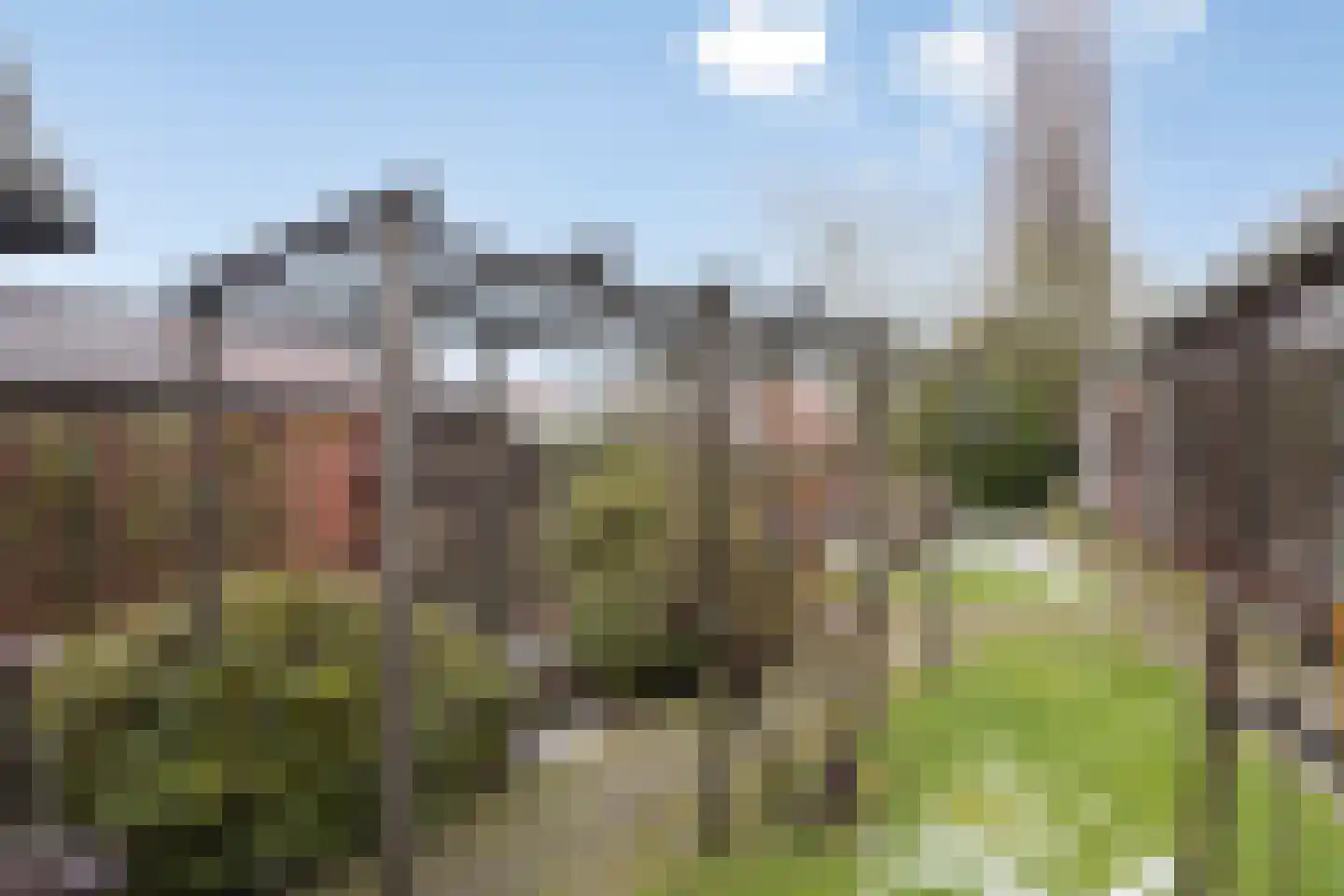 Kerkstraat 22 Wouwse Plantage thumbnail 26