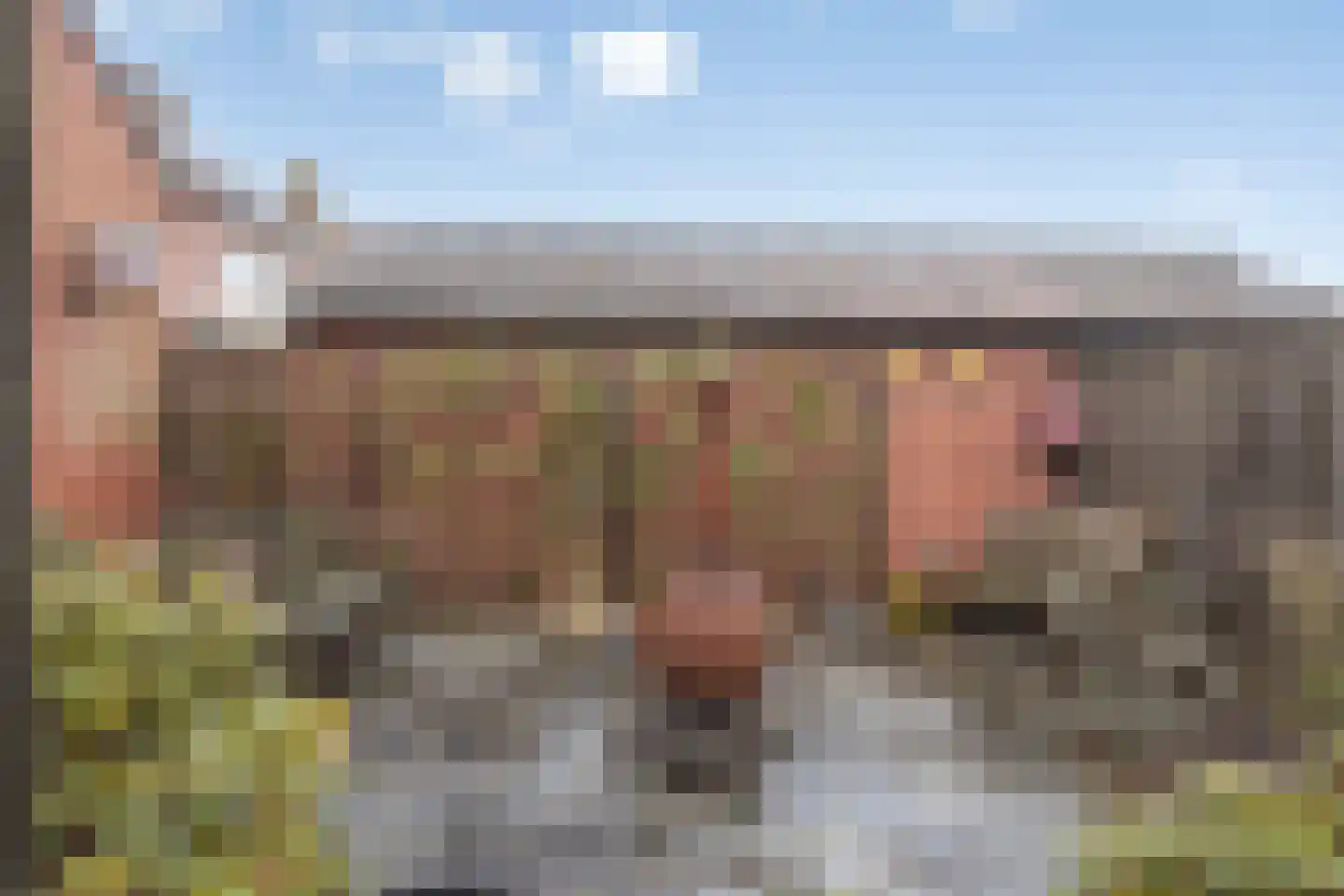 Kerkstraat 22 Wouwse Plantage thumbnail 27