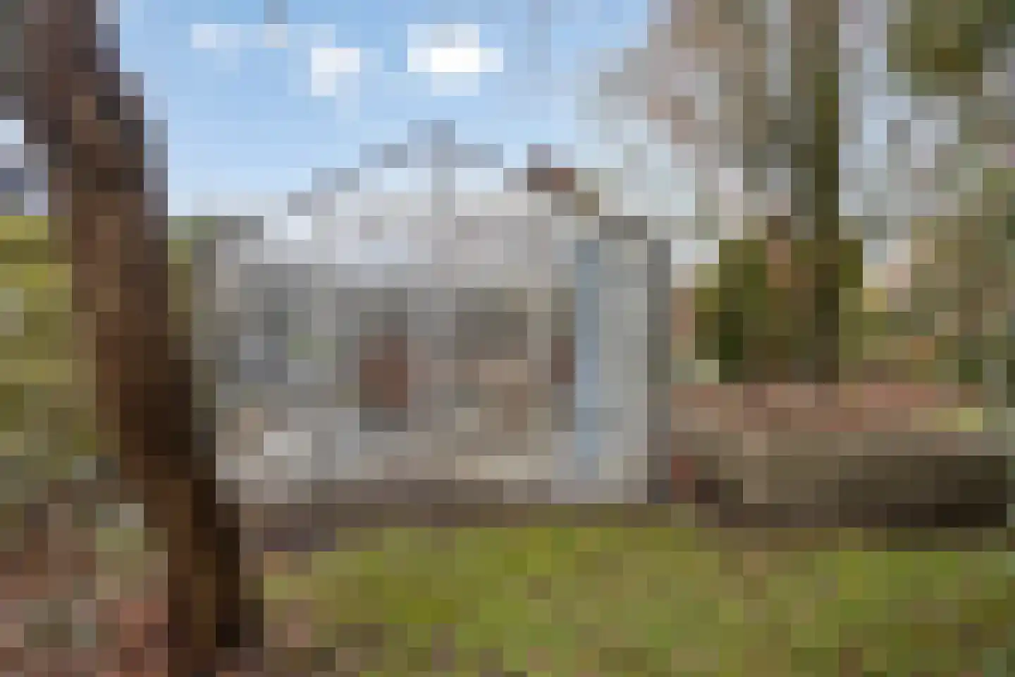 Kerkstraat 22 Wouwse Plantage thumbnail 31