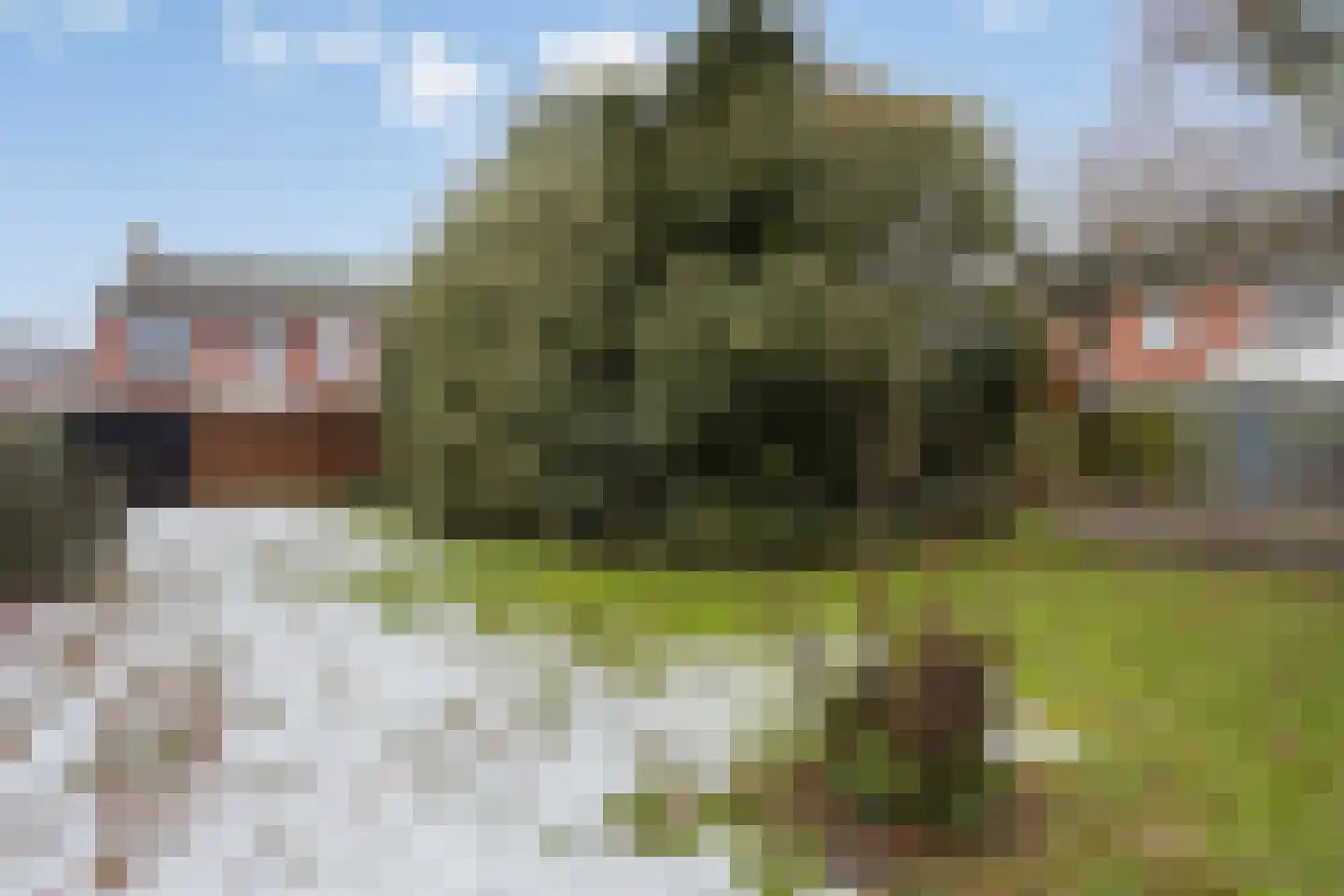 Kerkstraat 22 Wouwse Plantage thumbnail 32