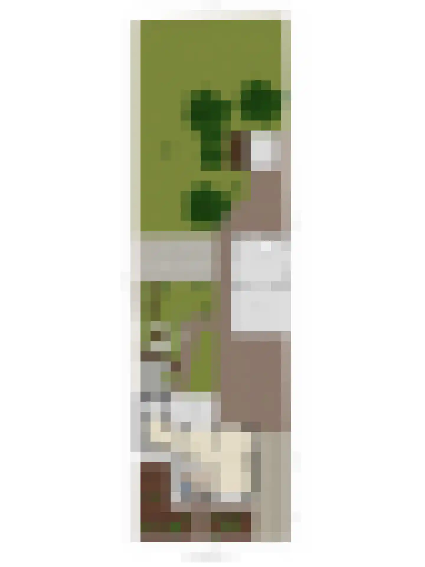Kerkstraat 22 Wouwse Plantage thumbnail 35
