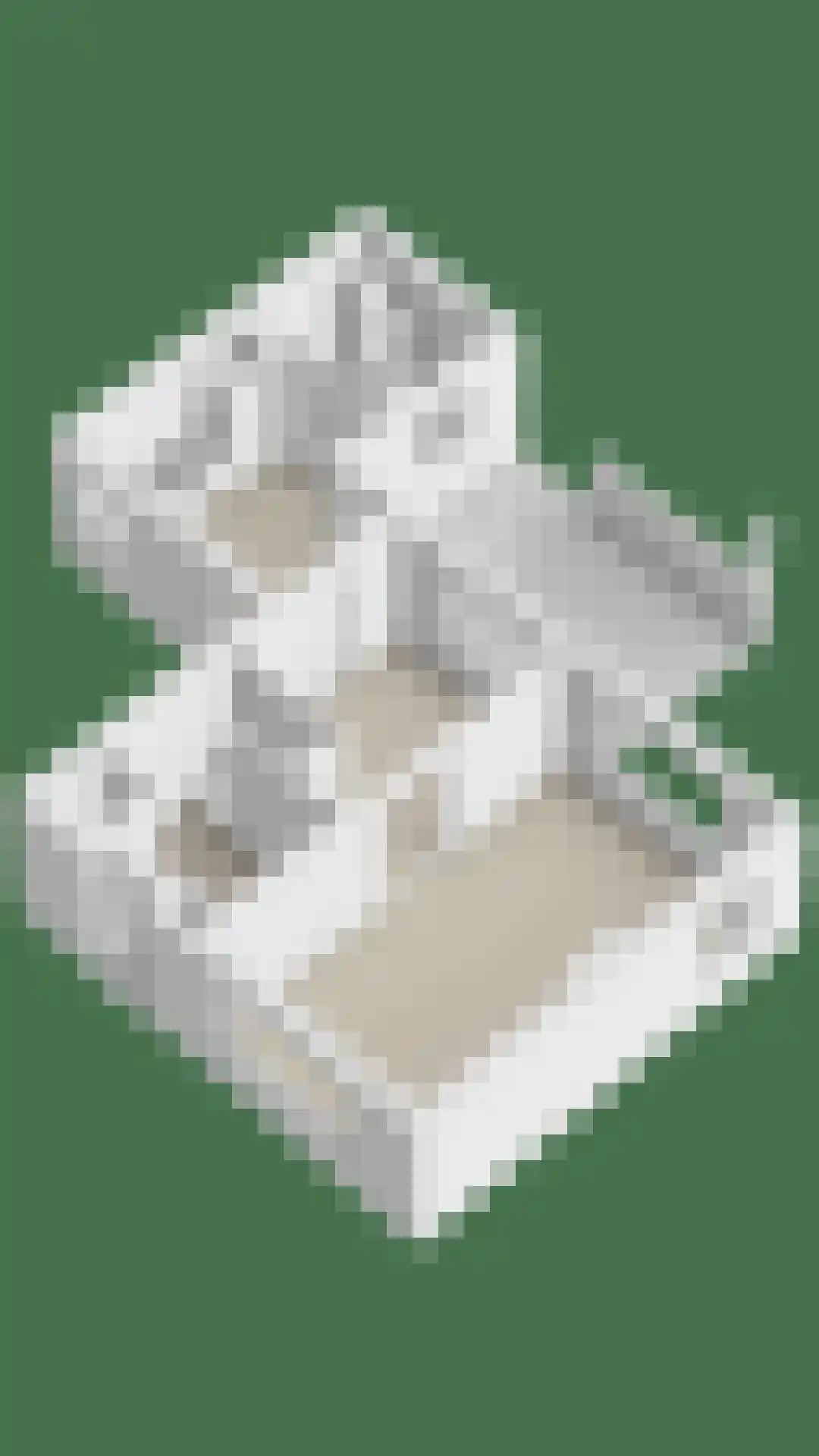 Kerkstraat 22 Wouwse Plantage thumbnail 41